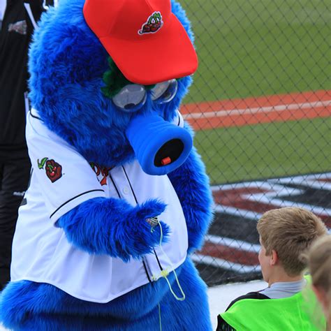 The Psychology Behind the Pit Spitters Mascot: Why Mascots Matter